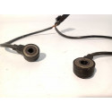Sensor Detonação Ranger Rover V6 2008