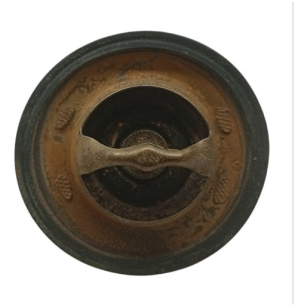 Válvula Termostática Citroen C3 2005 2006 2007