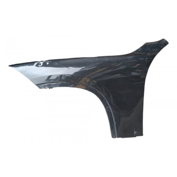 Paralama Esquerdo Bmw 320i 2010 2011 