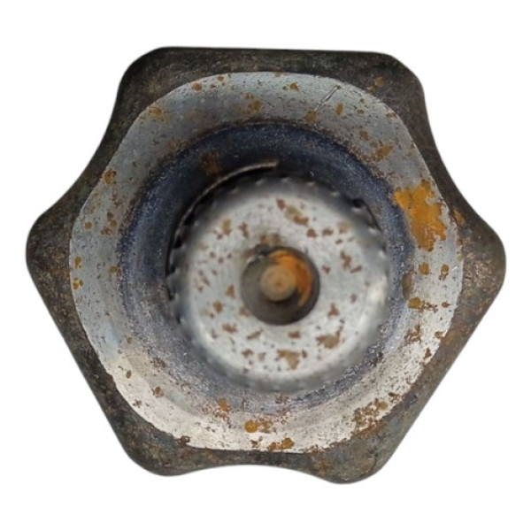 Túlipa Dianteira Volkswagen Polo Gts 1.4 Aut 2020 2021 2022